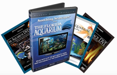 The Aquarium DVD - Turn Your TV into An Underwater Aquarium!Plasma Candy